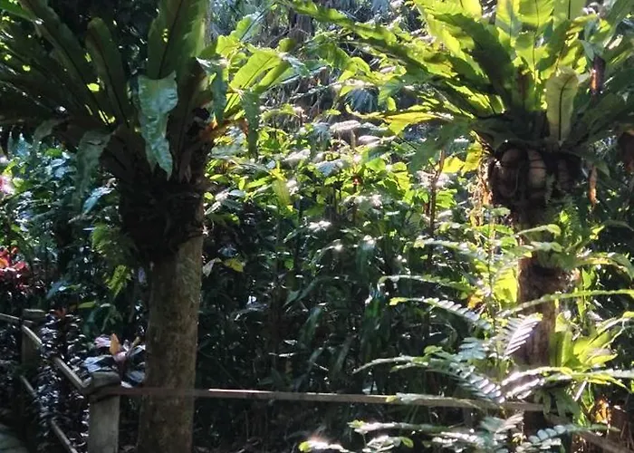 Umah Mimpi Tampaksiring
